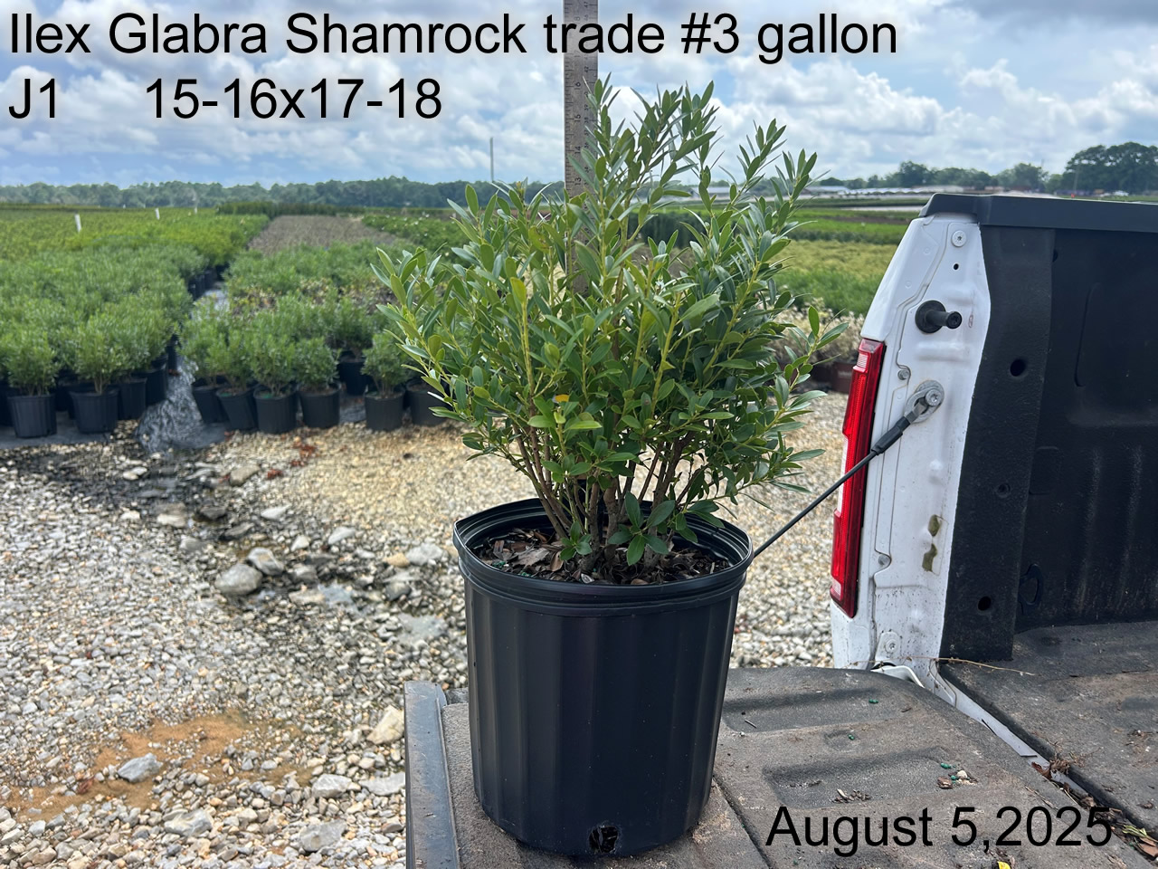 gallery/igs3t j1 aug25.jpg